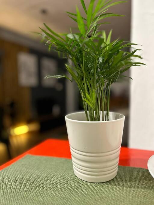 Loft Centro Santander Leilighet Eksteriør bilde
